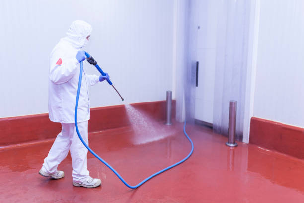 Best Warehouse Cleaning  in Quincy, FL